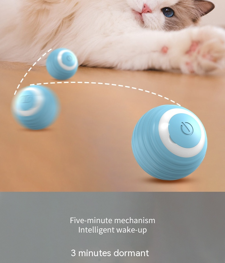 MAGIC Katzenball 2.1