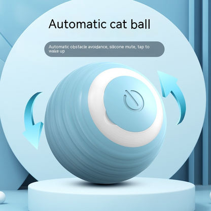 MAGIC Katzenball 2.1